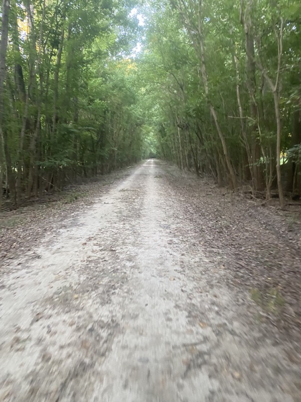 Shaded zen of the Katy Trail.