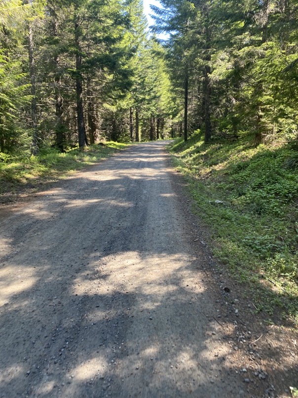 Still Creek Road near Mount Hood, Oregon.