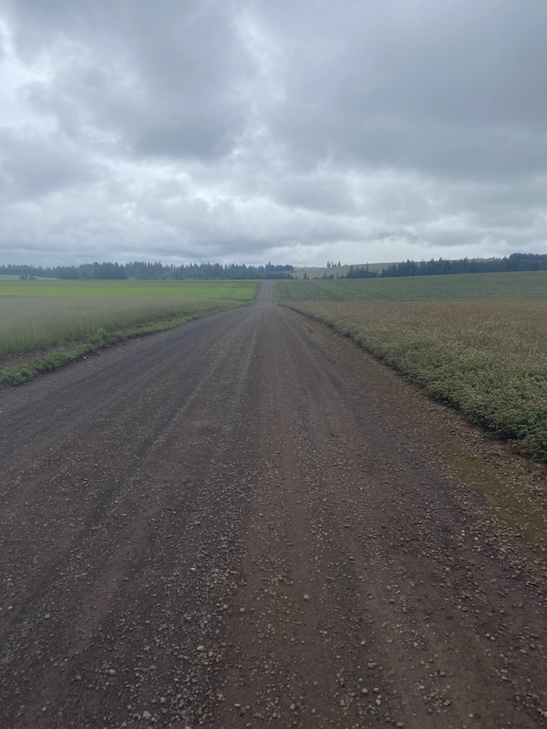 One of the rare sections of gravel on the route in Oregon.