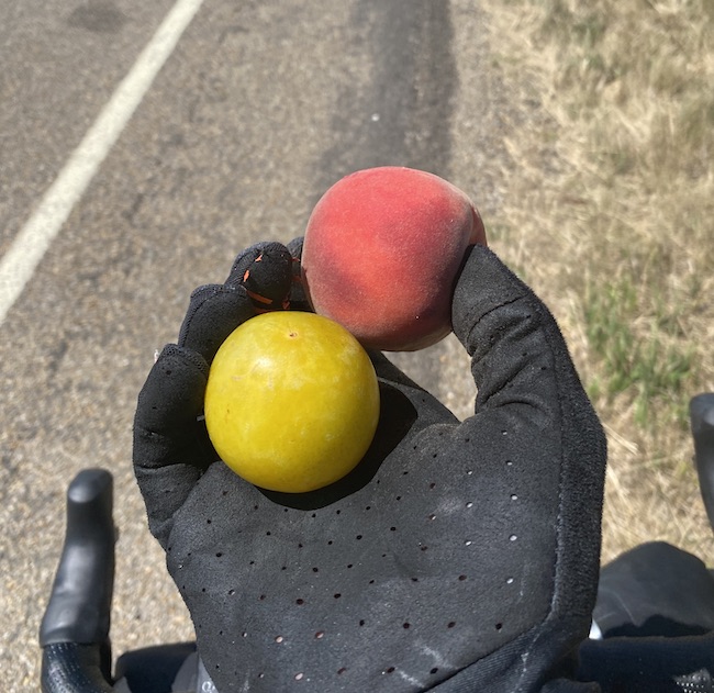 Fresh fruit from a friendly couple on a road trip.