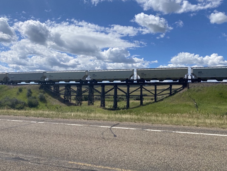 Long collection of stationary train cars along the highway.