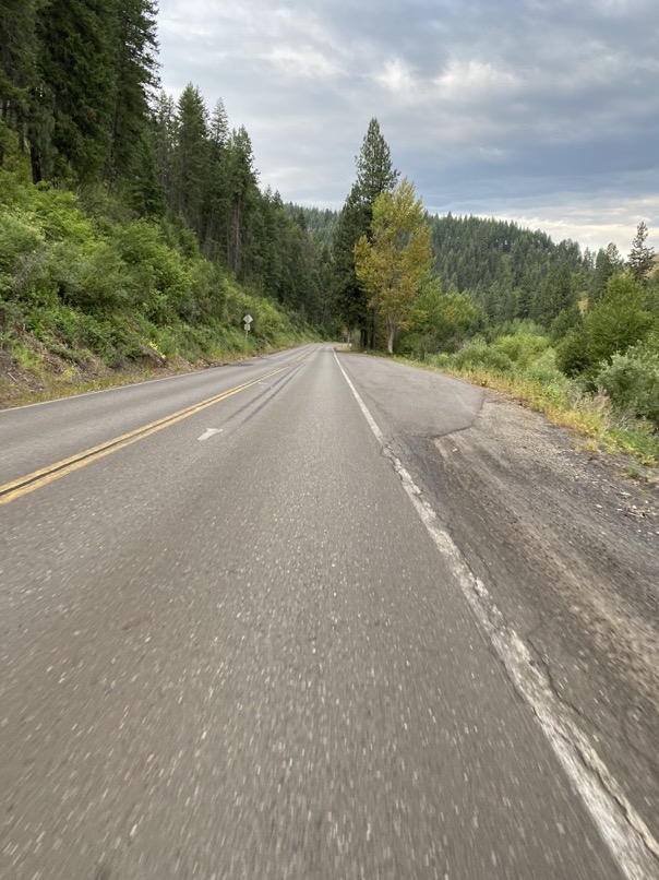 Forests west of New Meadows, ID.