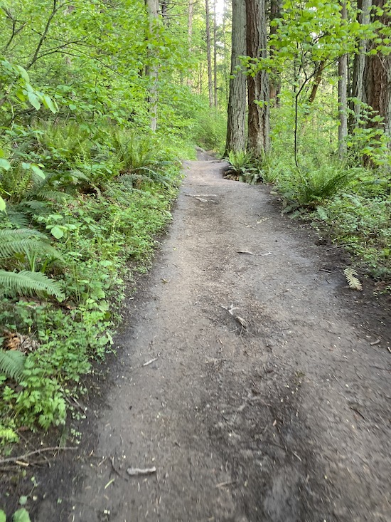 The last climb to the finish at Powell Butte